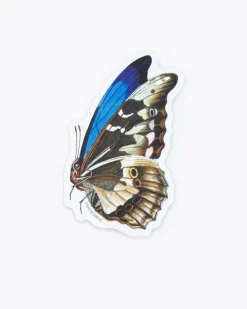 Cognitive Surplus Butterfly Sticker* Stickers | Entomology