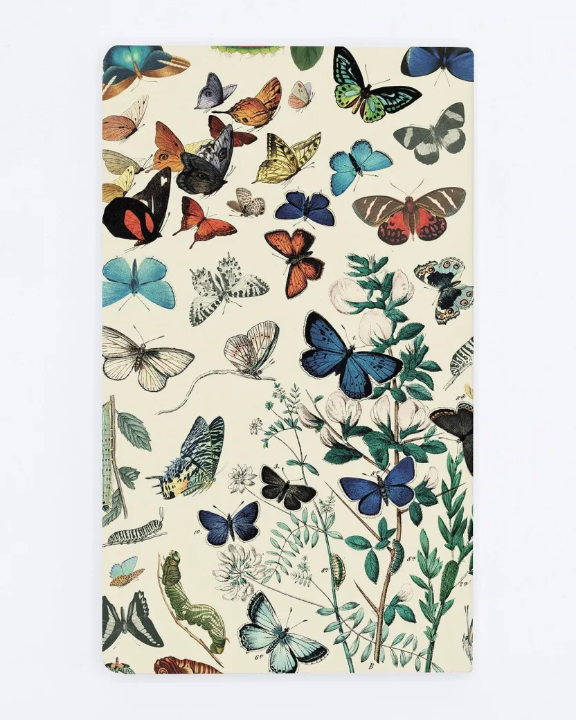 Cognitive Surplus Butterfly Yearly Planner* The Syllabus | Entomology