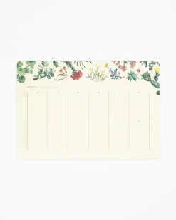 Cognitive Surplus Cactus Notepads - Succulents Market Pad | * Notepads | Botany