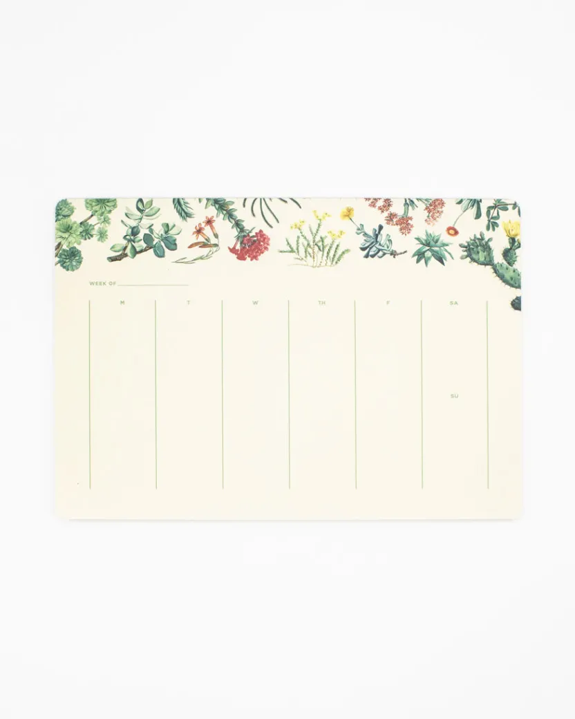 Cognitive Surplus Cactus Notepads - Succulents Market Pad | * Notepads | Botany