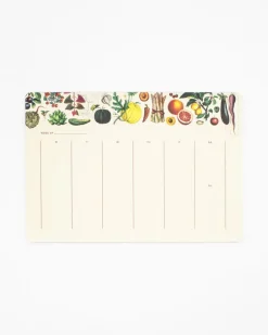 Cognitive Surplus Cactus Notepads - Succulents Market Pad | * Notepads | Botany