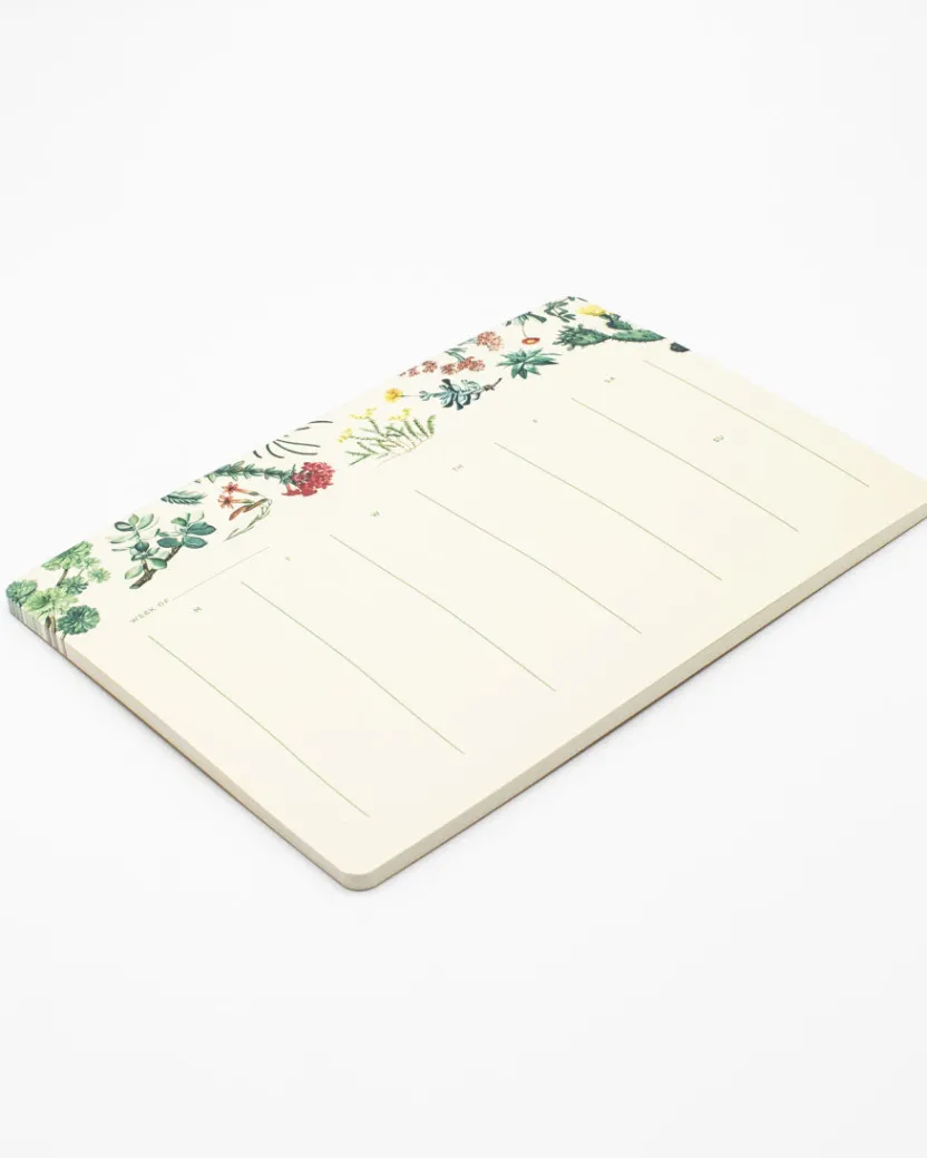 Cognitive Surplus Cactus Notepads - Succulents Market Pad | * Notepads | Botany