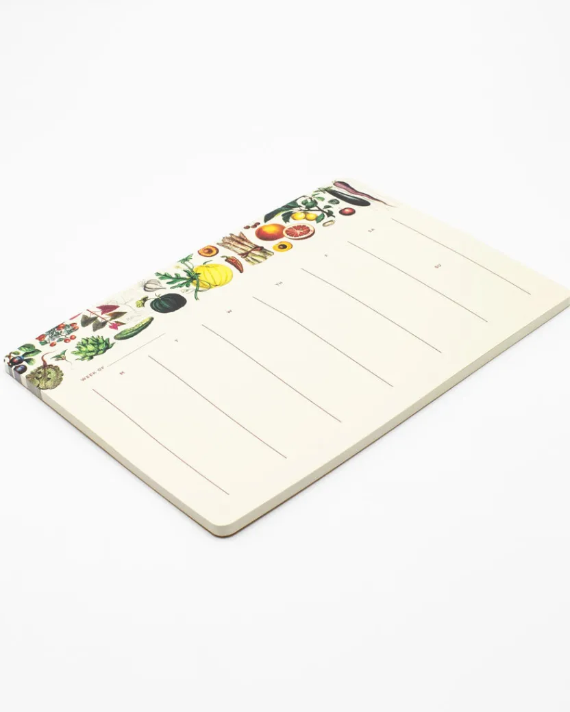 Cognitive Surplus Cactus Notepads - Succulents Market Pad | * Notepads | Botany
