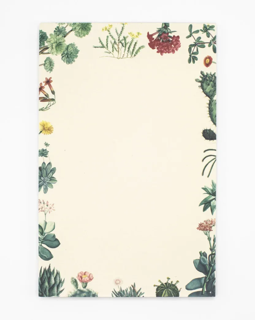 Cognitive Surplus Cactus Notepads - Succulents Market Pad | * Notepads | Botany