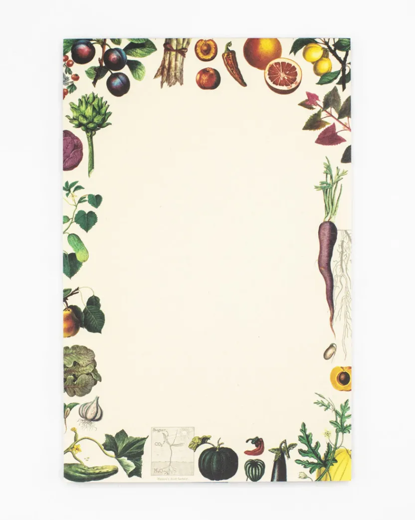Cognitive Surplus Cactus Notepads - Succulents Market Pad | * Notepads | Botany
