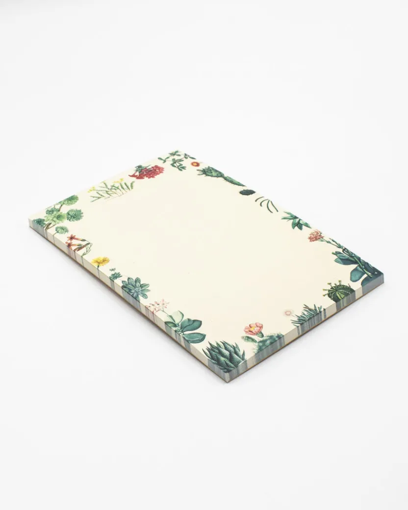 Cognitive Surplus Cactus Notepads - Succulents Market Pad | * Notepads | Botany
