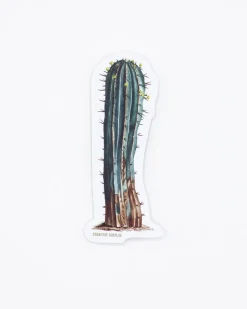Cognitive Surplus Cactus Sticker* Stickers | Botany