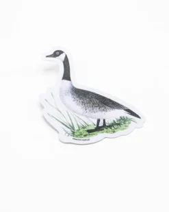 Cognitive Surplus Canada Goose Sticker* Stickers | Ornithology