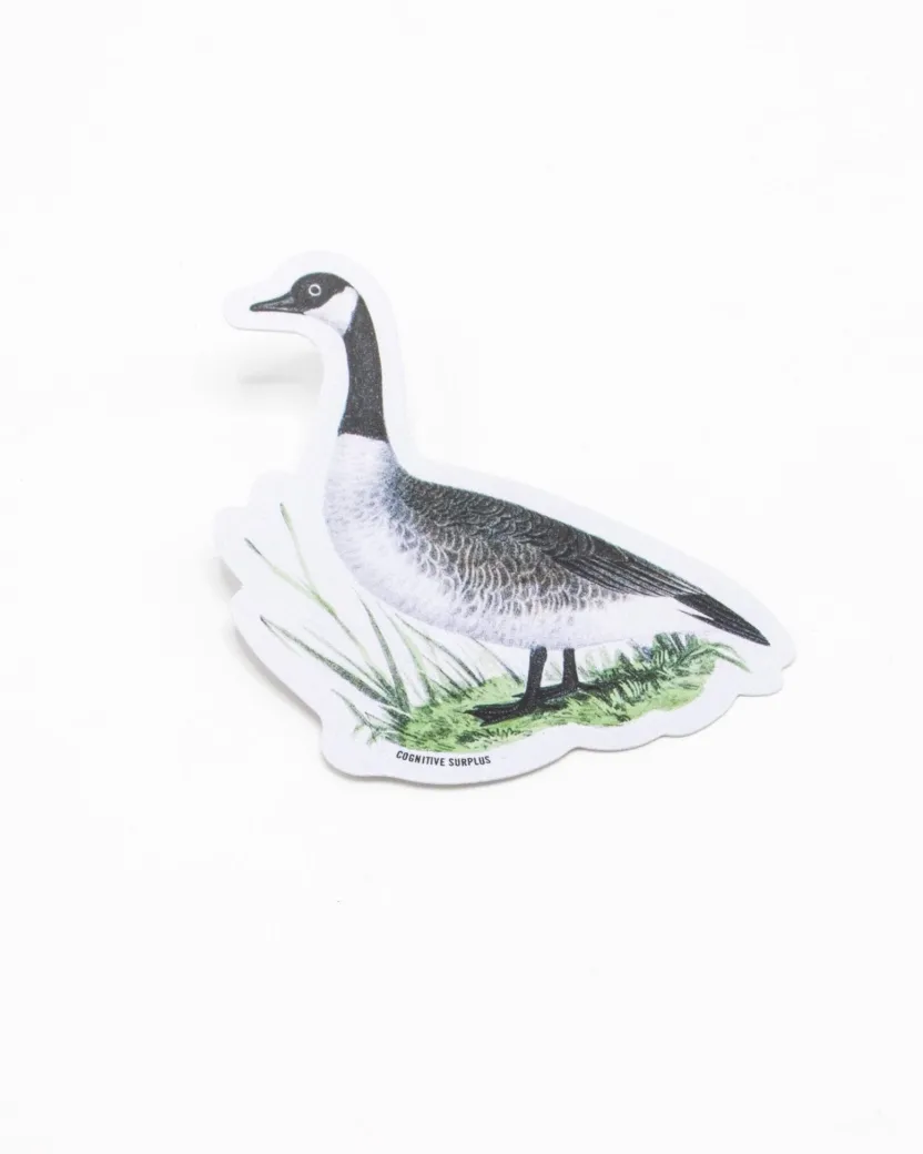 Cognitive Surplus Canada Goose Sticker* Stickers | Ornithology