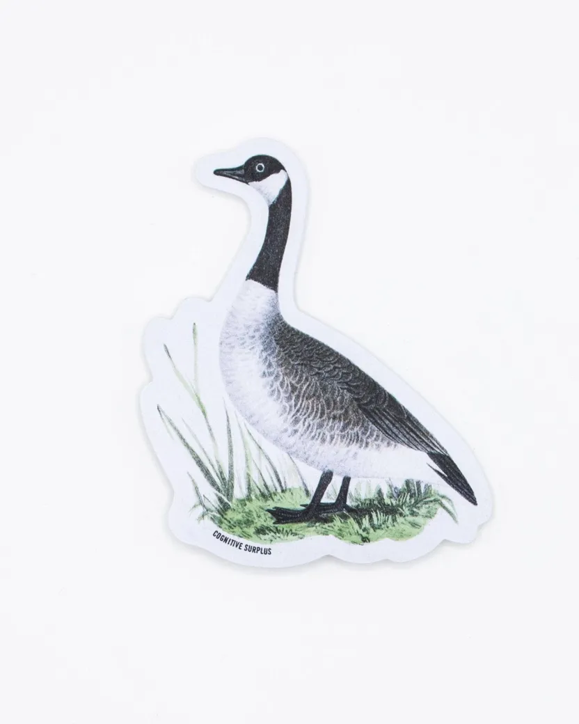 Cognitive Surplus Canada Goose Sticker* Stickers | Ornithology