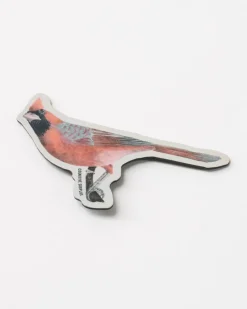 Cognitive Surplus Cardinal Bird Magnet* Magnets | Ornithology