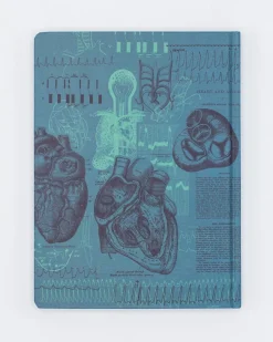 Cognitive Surplus Cardiology Hardcover Notebook | Anatomical Heart Notebook* The Hypothesis | Medicine