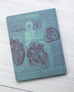 Cognitive Surplus Cardiology Hardcover Notebook | Anatomical Heart Notebook* The Hypothesis | Medicine