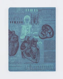Cognitive Surplus Cardiology Notebook | Anatomical Heart Softcover Journal* The Experiment | Medicine