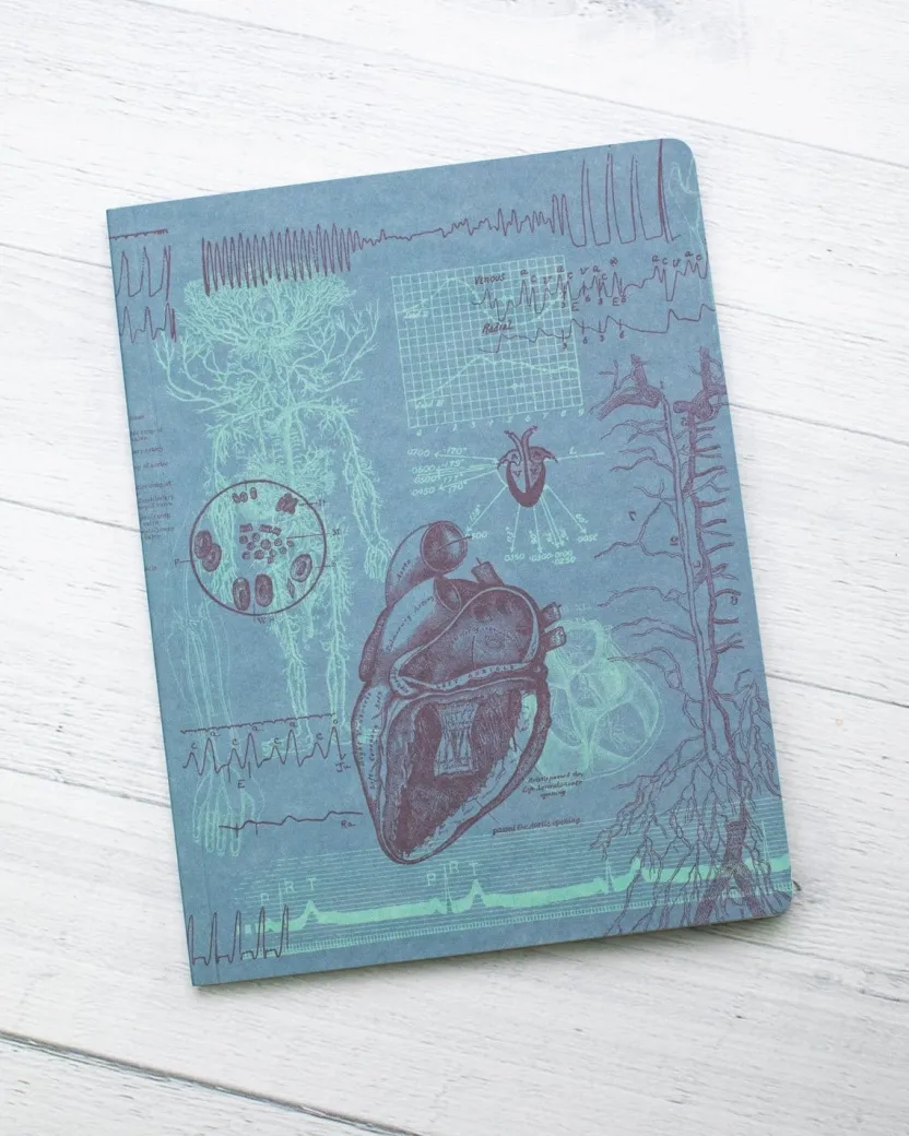 Cognitive Surplus Cardiology Notebook | Anatomical Heart Softcover Journal* The Experiment | Medicine