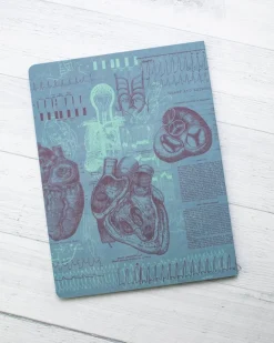Cognitive Surplus Cardiology Notebook | Anatomical Heart Softcover Journal* The Experiment | Medicine