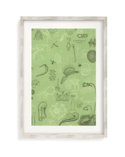 Cognitive Surplus Carnivorous Plants Scientific Illustration Museum Print* Wall Art | Botany