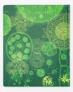 Cognitive Surplus Cell Biology Lab Notebook* The Laboratory | Microbiology