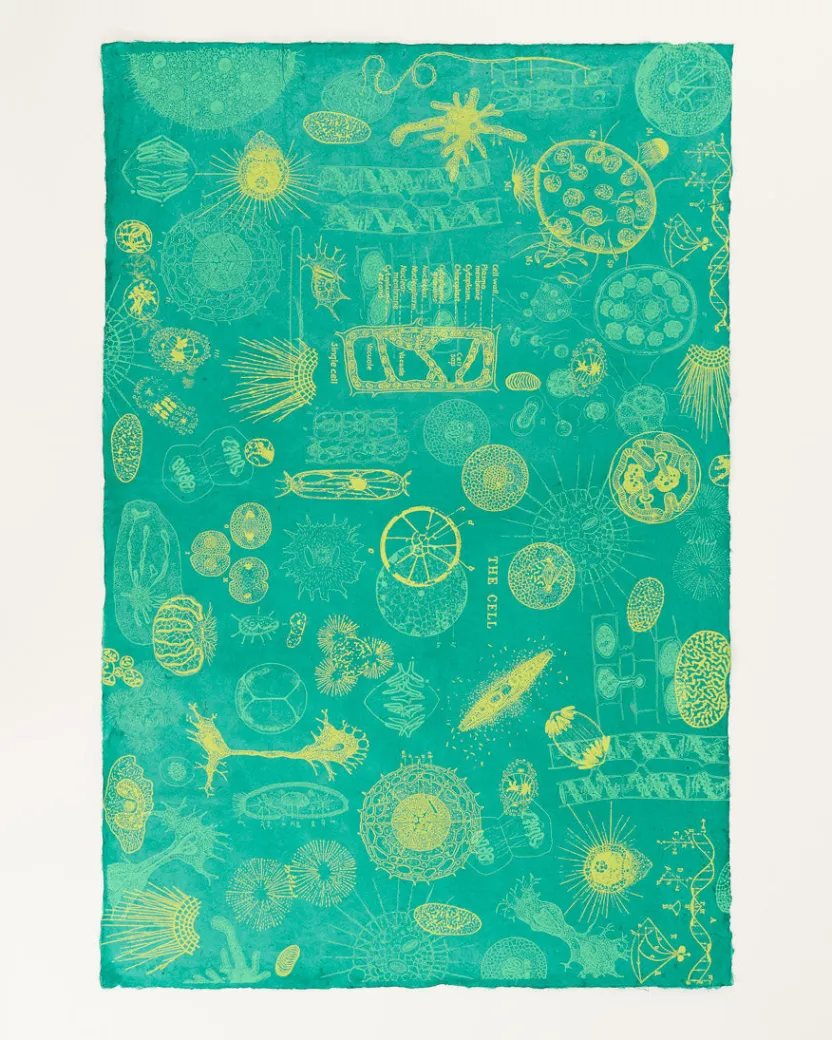 Cognitive Surplus Cell Biology Wrapping Paper* Wrapping Paper | Microbiology