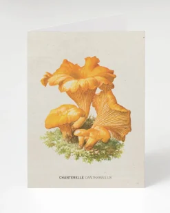 Cognitive Surplus Chanterelle Mushroom Card - Science Stationery | * Greeting Cards | Kitchen Science