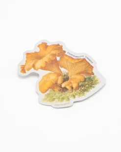 Cognitive Surplus Chanterelle Mushroom Sticker* Stickers | Biology