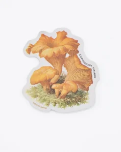 Cognitive Surplus Chanterelle Mushroom Sticker* Stickers | Biology