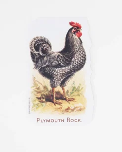 Cognitive Surplus Chicken Sticker* Stickers | Ornithology
