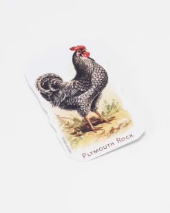 Cognitive Surplus Chicken Sticker* Stickers | Ornithology