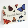 Cognitive Surplus Congratulations Card - Butterfly Greeting Card | * Greeting Cards | Entomology