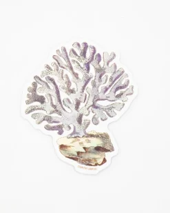 Cognitive Surplus Coral Sticker* Stickers | Marine Biology