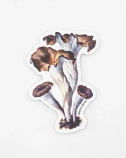 Cognitive Surplus Craterellus Cornucopioides Mushrooms Sticker* Stickers | Botany