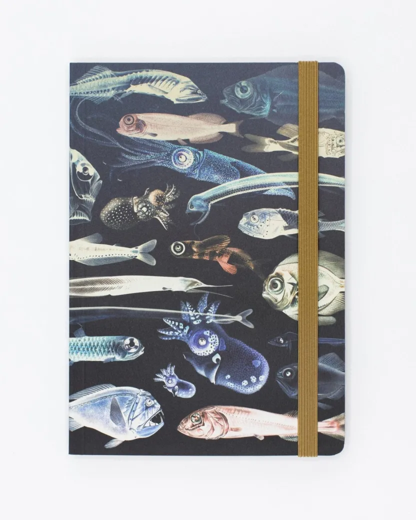 Cognitive Surplus Deep Sea A5 Notebook - Marine Biology | * The Analysis | Marine Biology