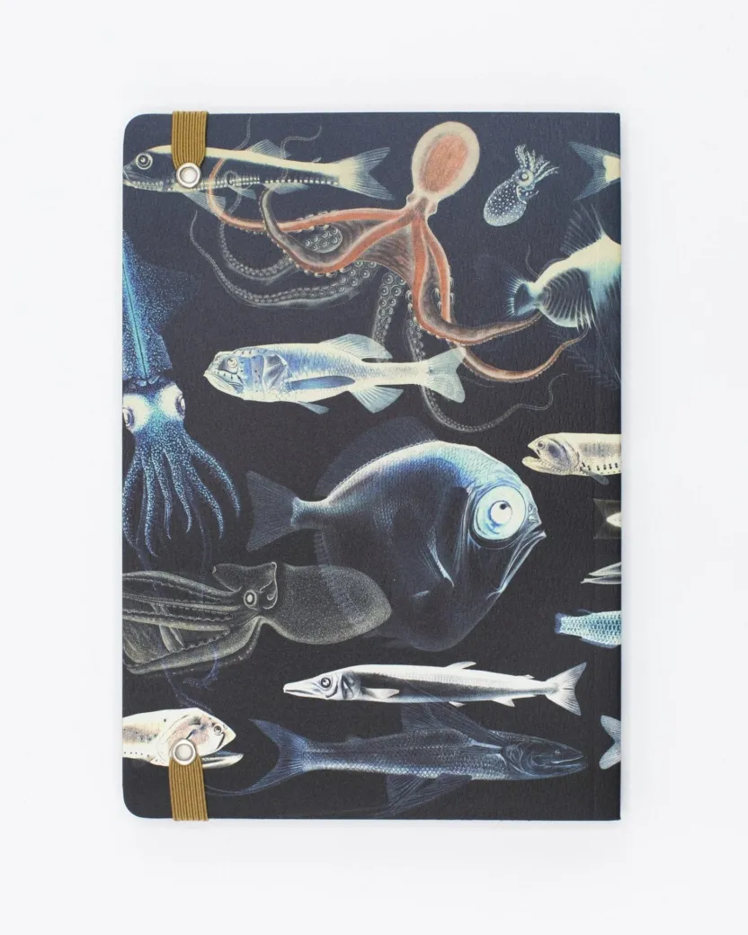 Cognitive Surplus Deep Sea A5 Notebook - Marine Biology | * The Analysis | Marine Biology