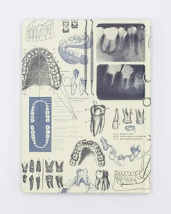 Cognitive Surplus Dentistry Hardcover Notebook - Dot Grid* The Hypothesis | Medicine
