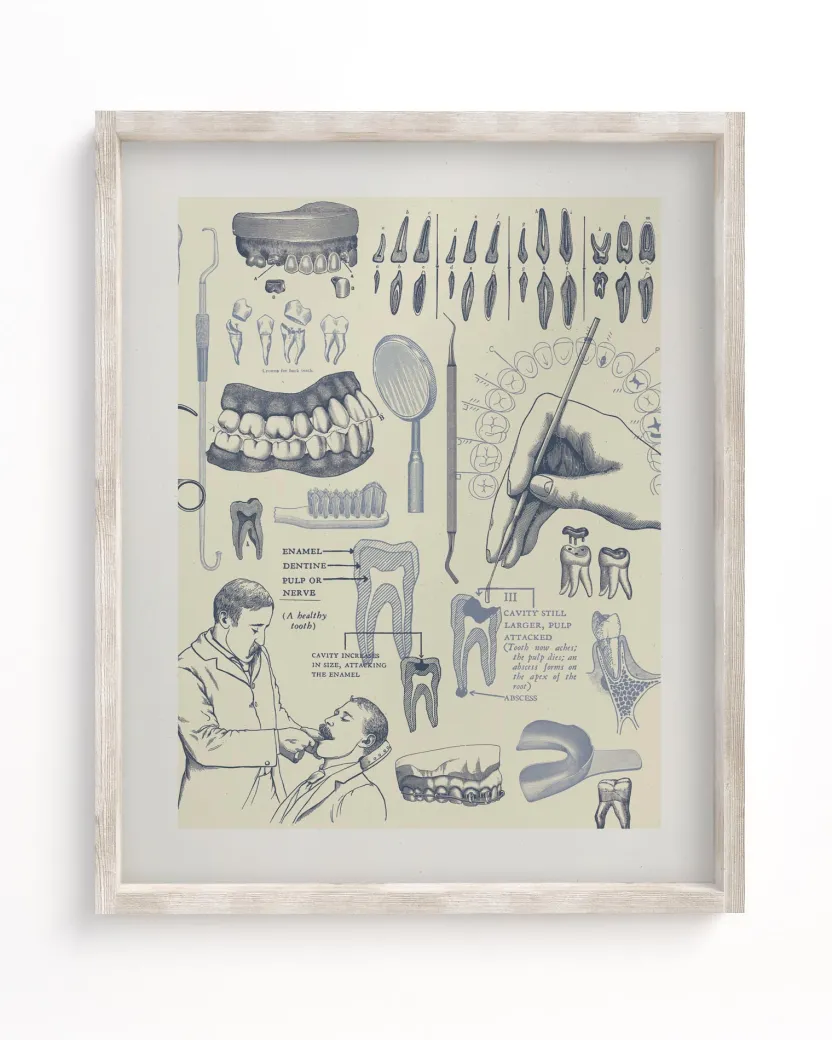 Cognitive Surplus Dentistry Medical Illustration Wall Art | * Wall Art | Medicine