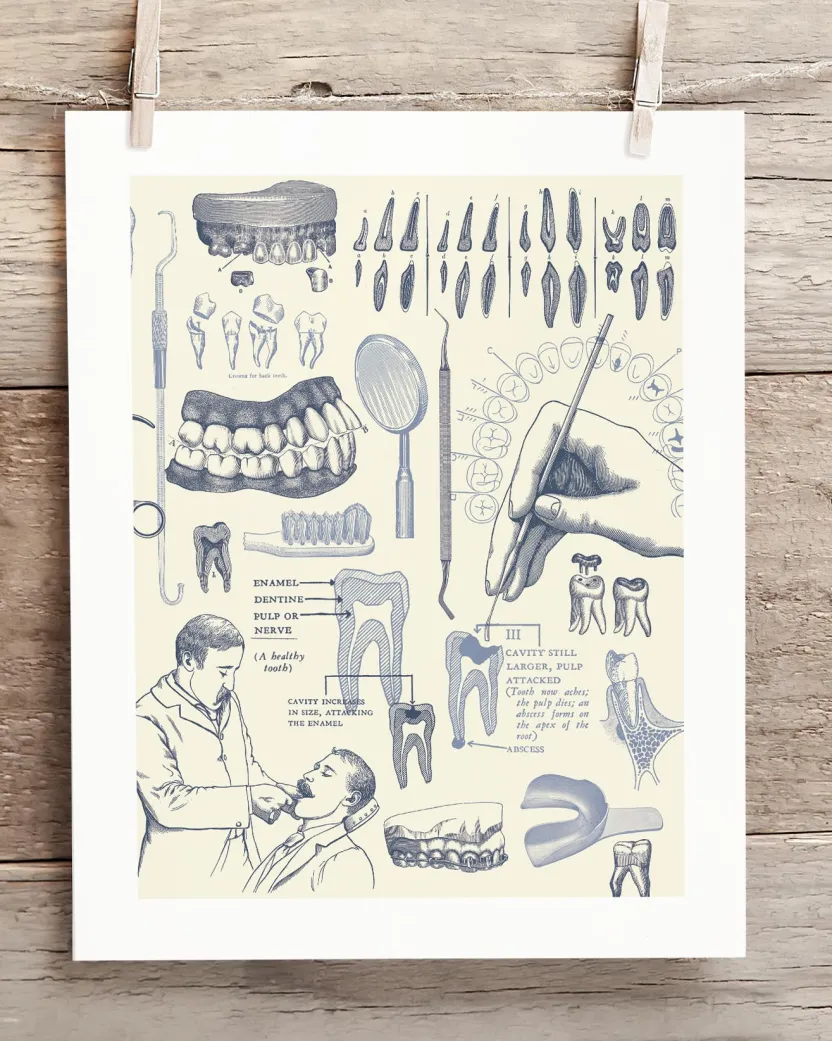 Cognitive Surplus Dentistry Medical Illustration Wall Art | * Wall Art | Medicine