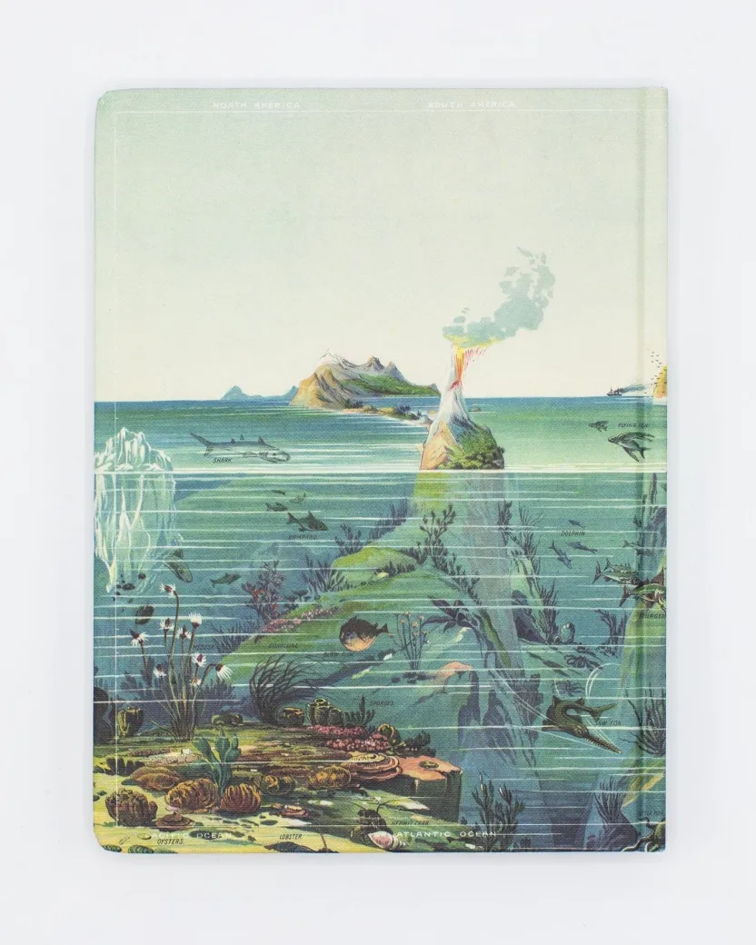 Cognitive Surplus Descending Regions Hardcover - Blank* The Theory | Marine Biology