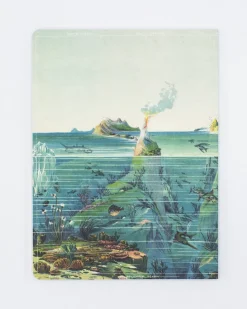 Cognitive Surplus Descending Regions Softcover Notebook - Dot Grid* The Experiment | Marine Biology