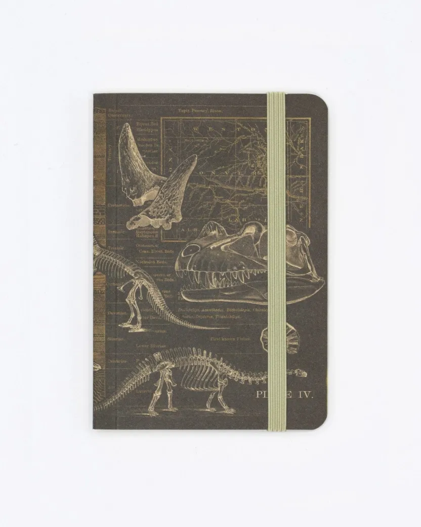 Cognitive Surplus Dinosaur Bones Observation Softcover* The Observation | Geology + Earth Science