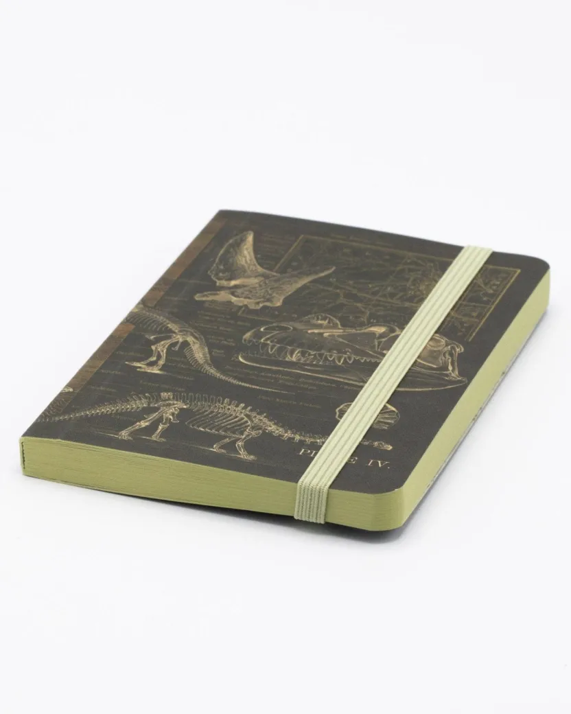 Cognitive Surplus Dinosaur Bones Observation Softcover* The Observation | Geology + Earth Science