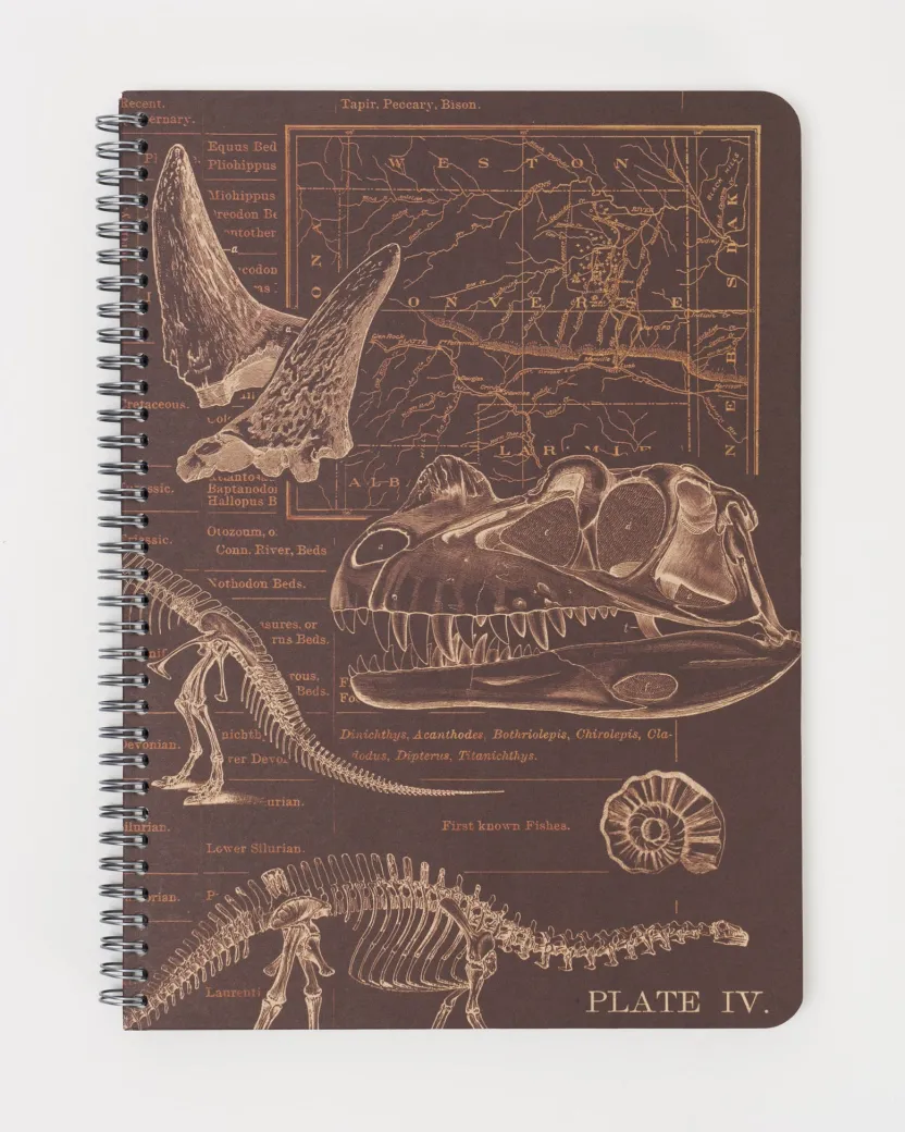 Cognitive Surplus Dinosaur Bones Spiral Notebook | * The Helix | Paleontology