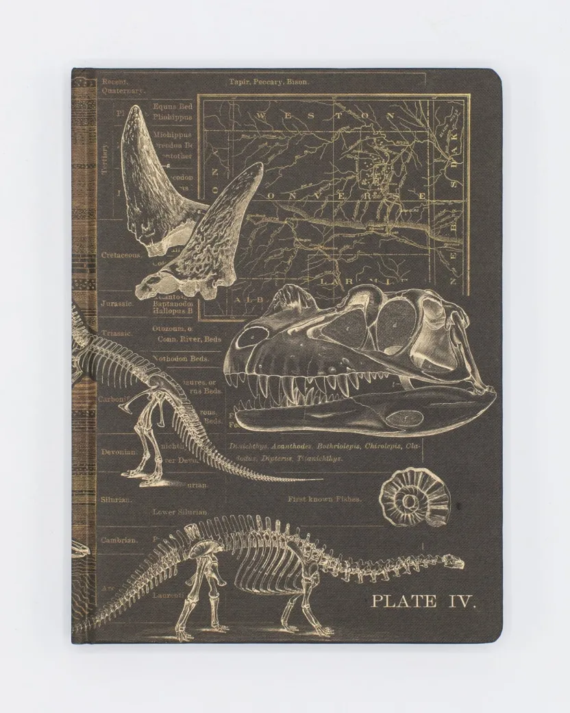 Cognitive Surplus Dinosaur Hardcover Notebook | Paleontology* The Hypothesis | Paleontology
