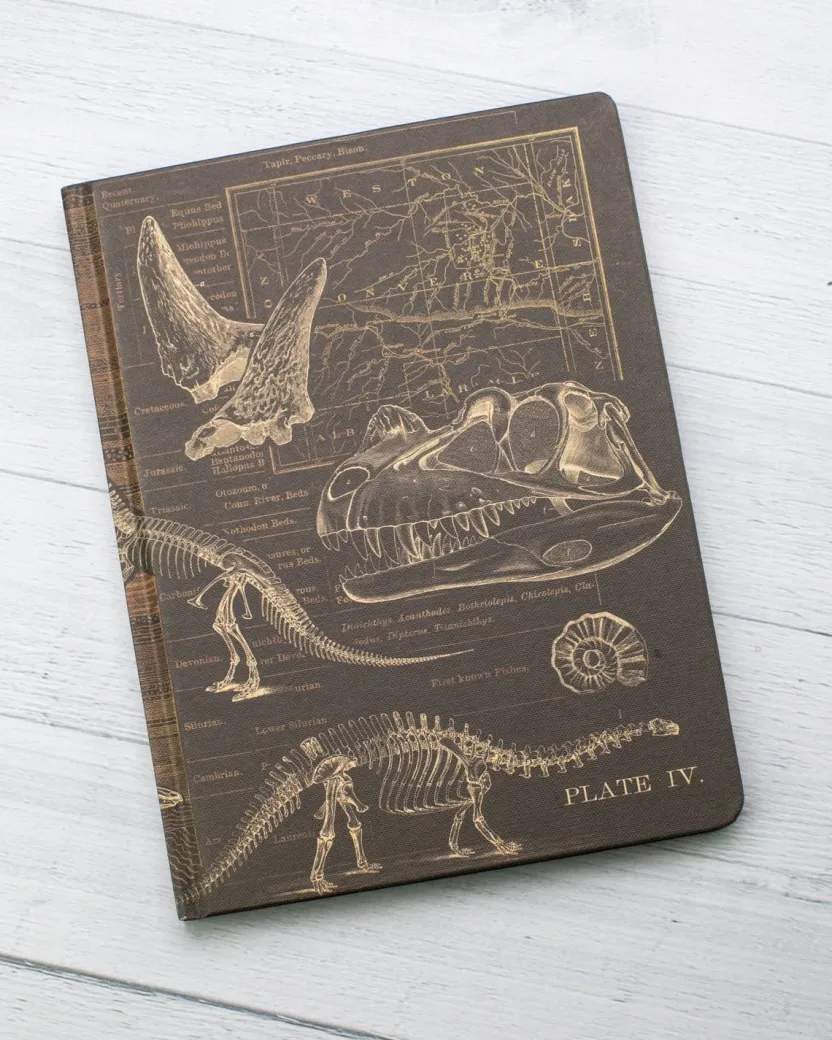 Cognitive Surplus Dinosaur Hardcover Notebook | Paleontology* The Hypothesis | Paleontology