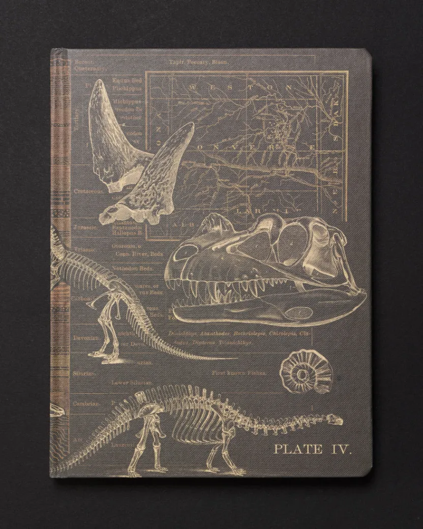 Cognitive Surplus Dinosaurs Dark Matter Notebook* Black Paper Notebooks | The Dark Matter