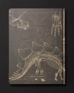 Cognitive Surplus Dinosaurs Dark Matter Notebook* Black Paper Notebooks | The Dark Matter