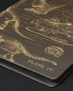 Cognitive Surplus Dinosaurs Dark Matter Notebook* Black Paper Notebooks | The Dark Matter