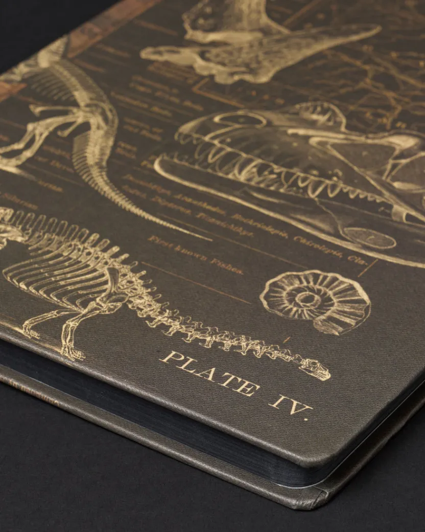 Cognitive Surplus Dinosaurs Dark Matter Notebook* Black Paper Notebooks | The Dark Matter