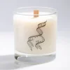 Cognitive Surplus Double Helix Cocktail Candle* Candles | Genetics