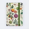 Cognitive Surplus Edible Flora Observation Softcover* The Observation | Kitchen Science
