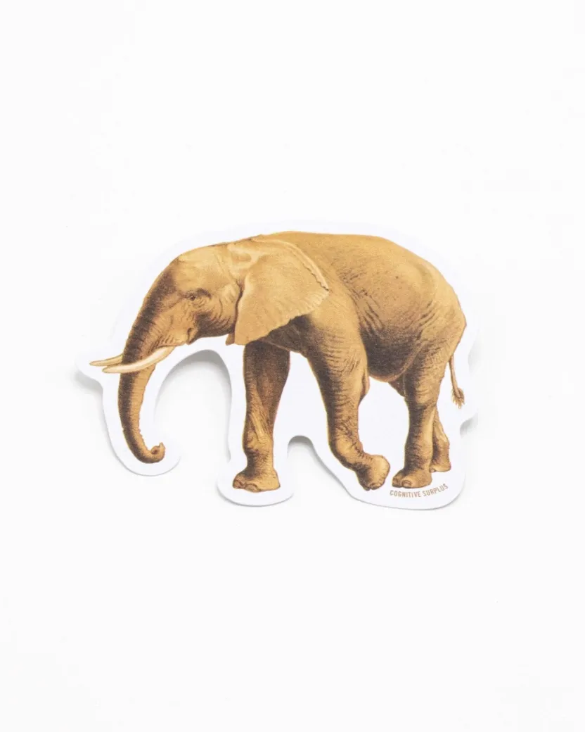 Cognitive Surplus Elephant Sticker* Stickers | Biology